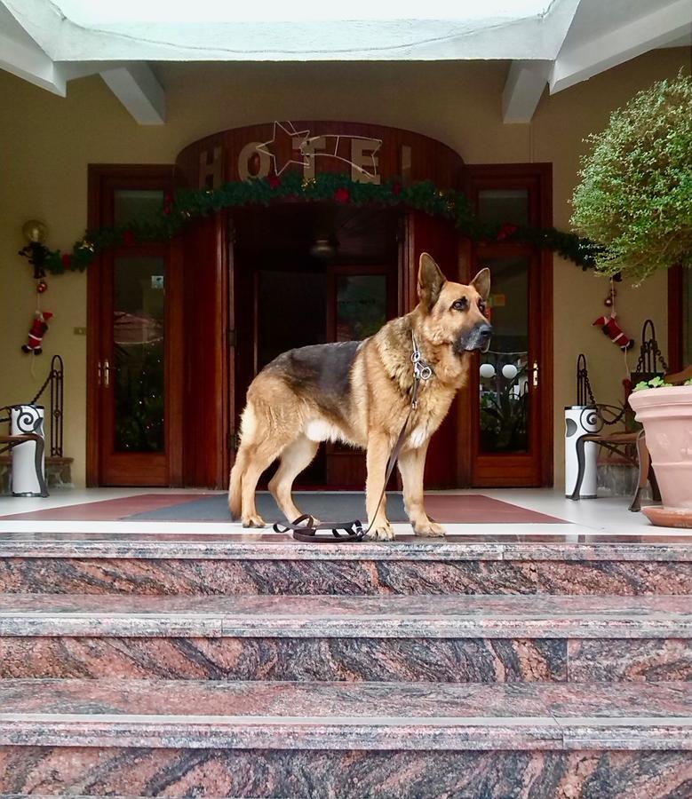 Hotel Ristorante Belvedere Казерта Экстерьер фото